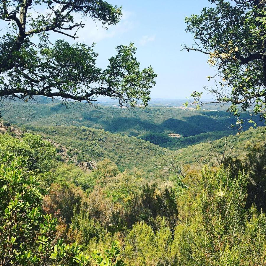 Отель Mas Oms Montnegre Экстерьер фото